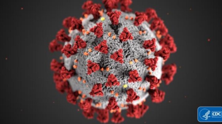 microscopic image of the COVID-19 virus published by the Centers for Disease Control